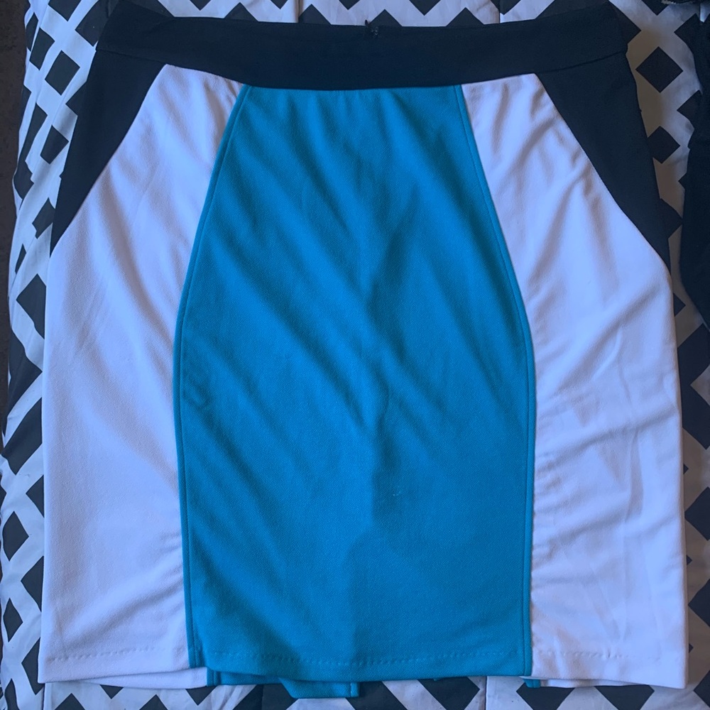 Blue & White Skirt- New never worn